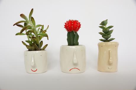 Artesanía y sostenibilidad: PopUp Store myBarrio meets Casa Gracia design room pompilio plants