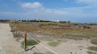 Nota sobre la temporada de cría del chorlitejo patinegro en el Garraf. Temporada 2016