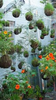 IDEAS: JARDINES VERTICALES