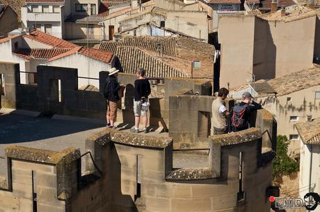 NO TE VAYAS DE NAVARRA: OLITE Y BÁRDENAS REALES