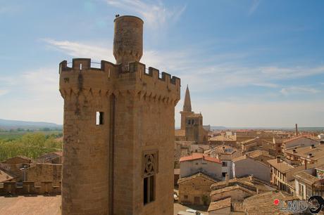 NO TE VAYAS DE NAVARRA: OLITE Y BÁRDENAS REALES