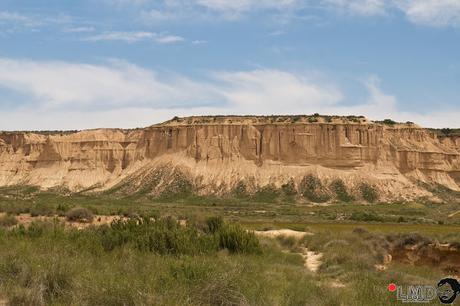 NO TE VAYAS DE NAVARRA: OLITE Y BÁRDENAS REALES