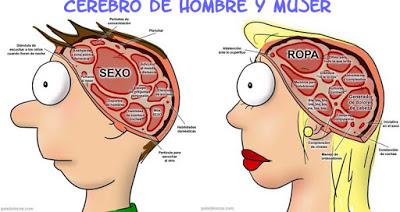 SOBRE MUJERES Y HOMBRES