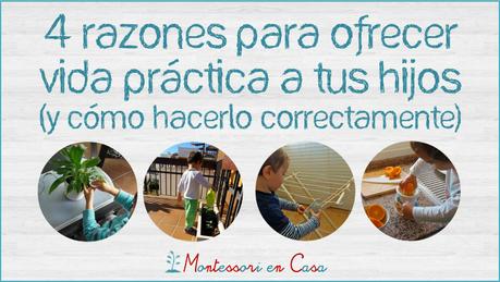 4 Razones para ofrecer Vida Práctica a tus hijos y cómo hacerlo correctamente (WEBINAR GRATUITO)