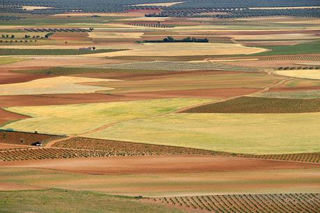 Los Molinos de Consuegra