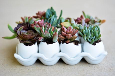 DIY: Aprende a realizar macetas de material reciclado DIY: Aprende a realizar macetas de material reciclado