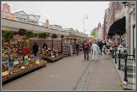 Mercado de las Flores Amsterdam (Países Bajos)