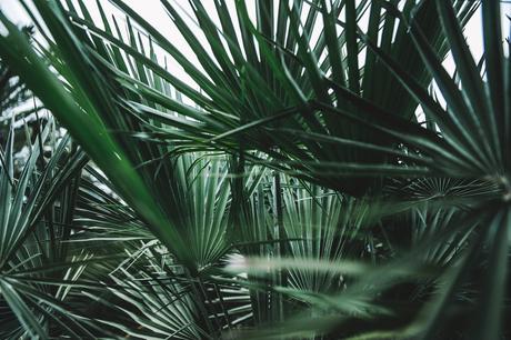 PALMS Chicwish-Off_The_Shoulders_Top-Outfit-Suede_Skirt-Free_People-Isabel_marant_Sandals-Chanel_Vintage_Bag-Statement_Earrings-Boho-Collage_Vintage-80