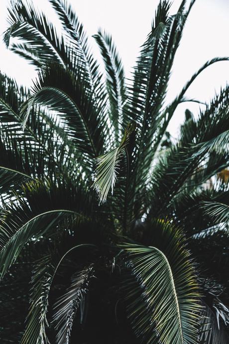 PALMS Chicwish-Off_The_Shoulders_Top-Outfit-Suede_Skirt-Free_People-Isabel_marant_Sandals-Chanel_Vintage_Bag-Statement_Earrings-Boho-Collage_Vintage-76