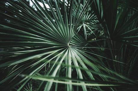 PALMS Chicwish-Off_The_Shoulders_Top-Outfit-Suede_Skirt-Free_People-Isabel_marant_Sandals-Chanel_Vintage_Bag-Statement_Earrings-Boho-Collage_Vintage-79