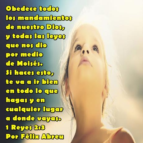 La importancia de las instrucciones La importancia de las instrucciones