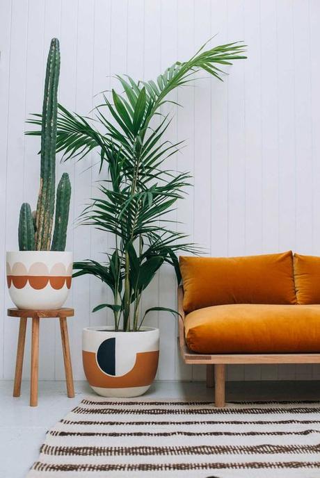 Urban Jungle Bloggers: Plantas en casa