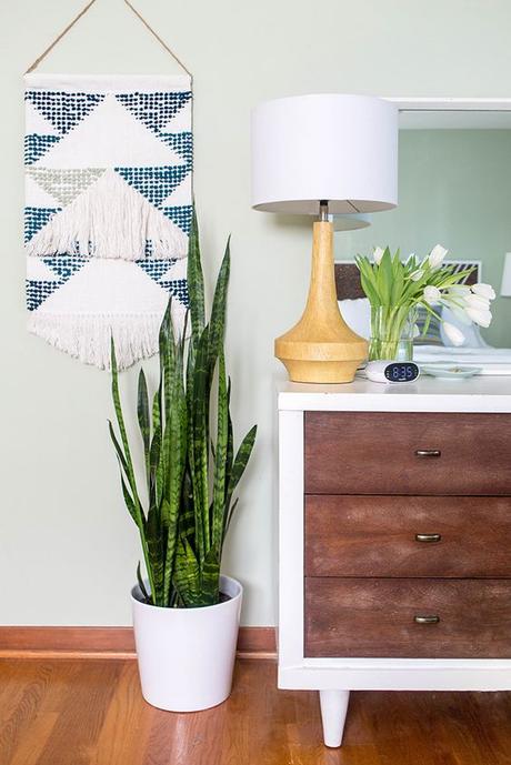 Urban Jungle Bloggers: Plantas en casa