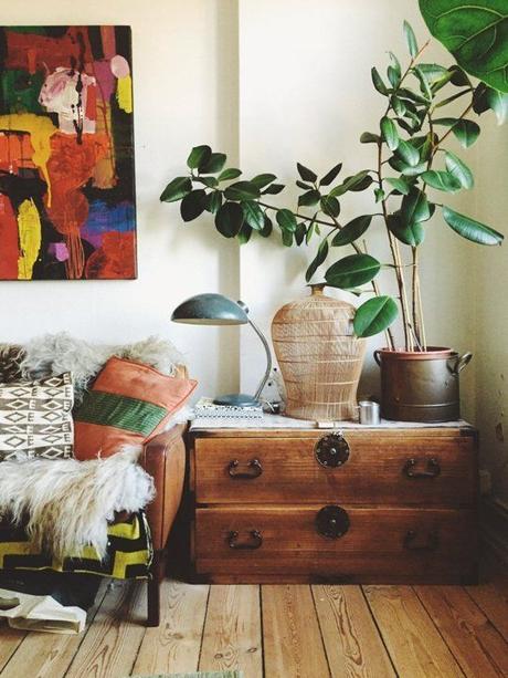 Urban Jungle Bloggers: Plantas en casa