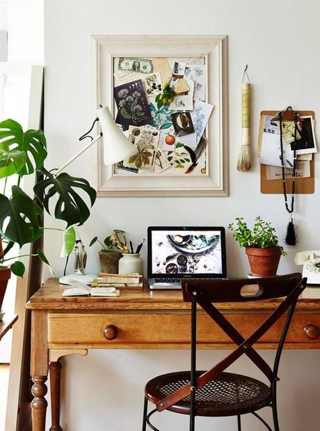 Urban Jungle Bloggers: Plantas en casa