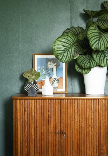 Urban Jungle Bloggers: Plantas en casa