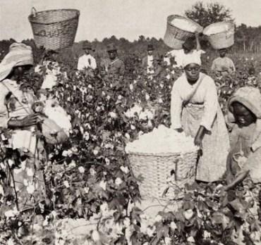 La historia del movimiento feminista negro en Estados Unidos Negras algodonal