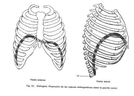 Soplo fonatorio.