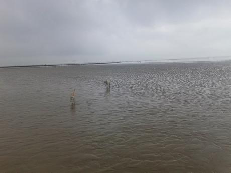 LA ESPECTACULAR RESIDENCIA DE LA SELECCIÓN ESPAÑOLA: LA ISLA DE RÉ LA ESPECTACULAR RESIDENCIA DE LA SELECCIÓN ESPAÑOLA: LA ISLA DE RÉ