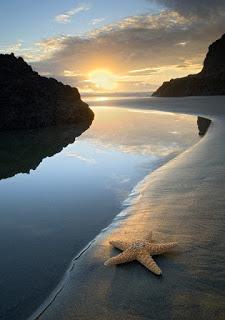 DECIR ADIÓS... DECIR ADIÓS...