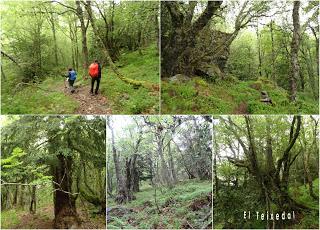 Burbia-La Grandela-Pico Mostallal-Villouso