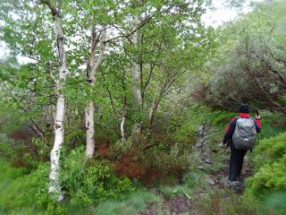 Burbia-La Grandela-Pico Mostallal-Villouso