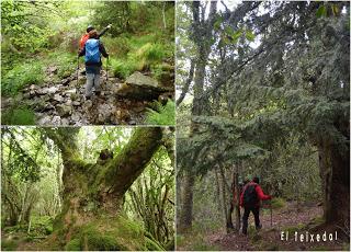 Burbia-La Grandela-Pico Mostallal-Villouso