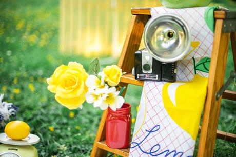 Preboda. Ideas para un Bonito Picnic+Propuestas. Preboda. Ideas para un Bonito Picnic+Propuestas.