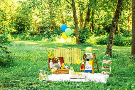 Preboda. Ideas para un Bonito Picnic+Propuestas. Preboda. Ideas para un Bonito Picnic+Propuestas.