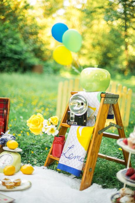 Preboda. Ideas para un Bonito Picnic+Propuestas. Preboda. Ideas para un Bonito Picnic+Propuestas.