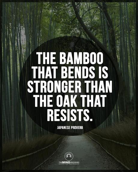 The bamboo