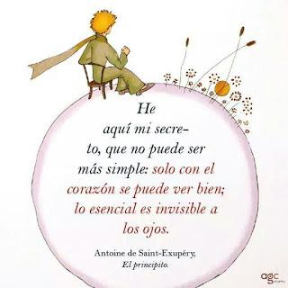 El sentido de mirar El sentido de mirar