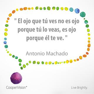 El sentido de mirar El sentido de mirar