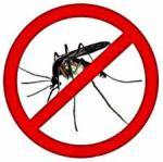 Verano: Consejos para la salud picaduras