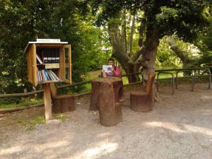 Biblioteca sorpresa: entre libros y naturaleza foto post