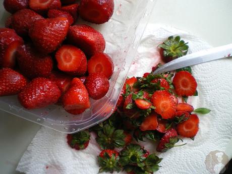 Fresas