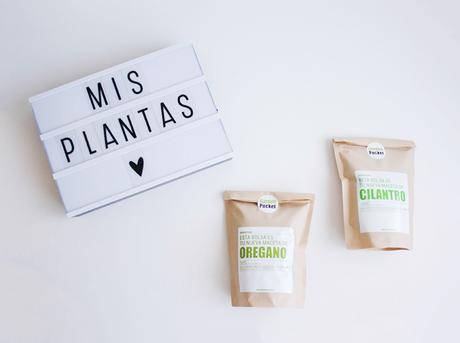 MI JARDÍN DE PLANTAS AROMÁTICAS CON GARDEN POCKET MI JARDÍN DE PLANTAS AROMÁTICAS CON GARDEN POCKET