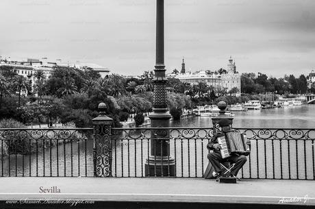 SEVILLA en BLANCO y NEGRO: ALREDEDORES DEL PUENTE DE ISABEL II y MERCADO DE TRIANA