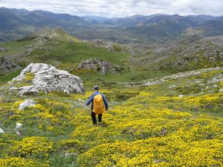 San Emiliano-Villafeliz de Babia-Sierra los Grajos-Pinos de Babia