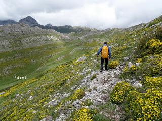 San Emiliano-Villafeliz de Babia-Sierra los Grajos-Pinos de Babia