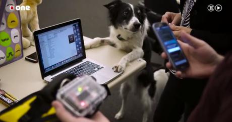 Proyecto FIDO: El chaleco que permite Proyecto FIDO: chaleco permite
