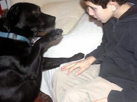 Proyecto FIDO: El chaleco que permite Proyecto FIDO: chaleco permite
