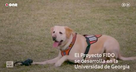Proyecto FIDO: El chaleco que permite Proyecto FIDO: chaleco permite
