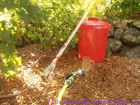 Abonado de los rosales con fertilizante orgánico a principios de verano después de la floración. Abonado de los rosales con fertilizante orgánico a principios de verano después de la floración.
