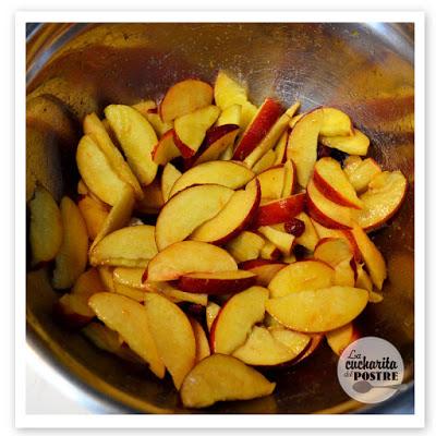 GALETTE DE NECTARINAS / NECTARINE GALETTE