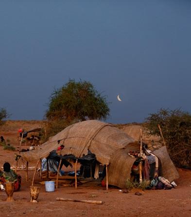 CAP. 7. Andanzas y tropezones de Dikembe Biyombo CAP. 7. Andanzas y tropezones de Dikembe Biyombo