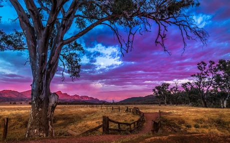 Flinders Ranges. Autora, Jacqui Barker