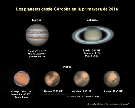 Zoco de Astronomía: Los planetas en verano