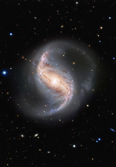 Una belleza a menudo ignorada Una belleza a menudo ignorada