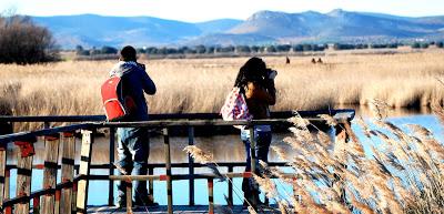Curso de Ecoturismo del aula de formación online de APRODEL Curso de Ecoturismo del aula de formación online de APRODEL